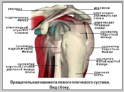 Плече